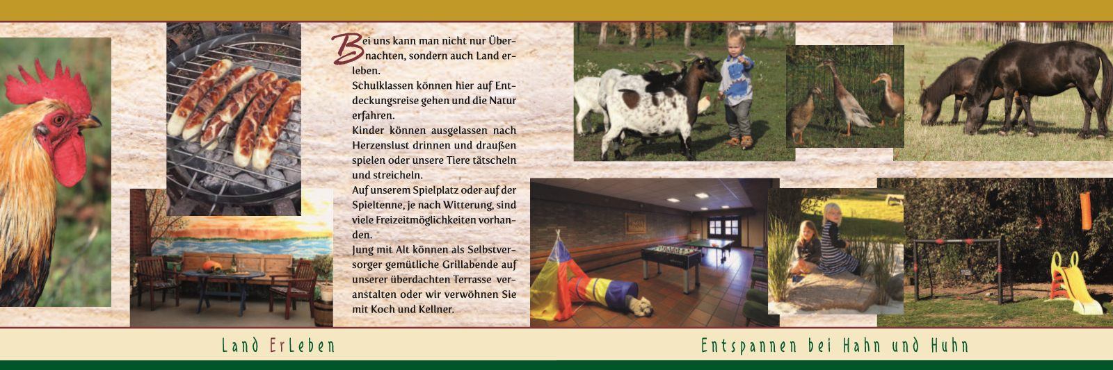Broschüre Seite 7, Entspannen bei Hahn und Huhn, Kinder, Tiere und Freizeit